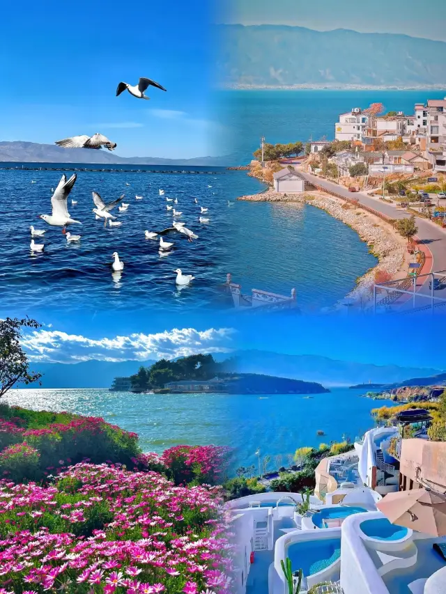 A Hidden Paradise of Poetry and Dreams