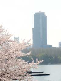 趁著花香微風，踏上「野」的旅程。