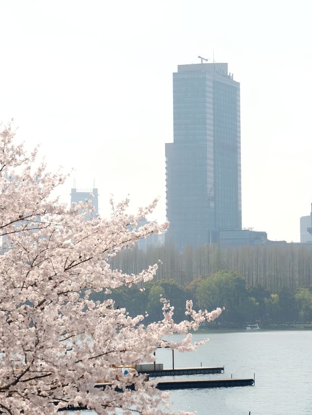 趁著花香微風，踏上「野」的旅程。