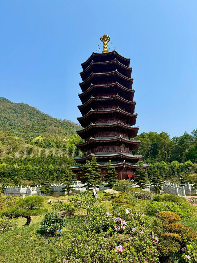 目前為止我最喜歡的親子遊城市出現了