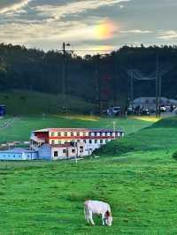 把辦公室缺少的氧氣，在關山草原「吸」回來