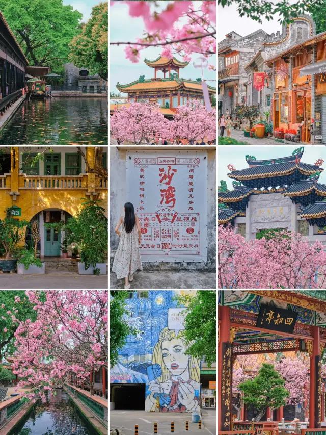 🌸廣州沙灣一日遊 | 櫻花與古鎮的春日療癒之旅