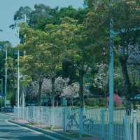 珠海｜最適合i人的美麗灣沙灘