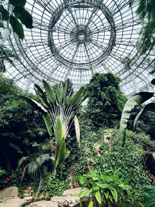 鄭州｜植物園｜中原綠意秘境與自然奇觀