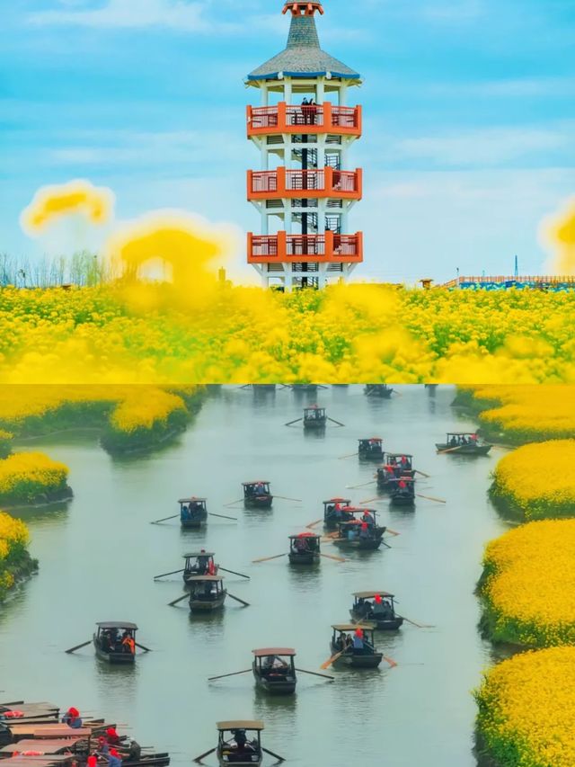 泰州｜被嚴重低估你4-5月份旅行寶藏地，附攻略！