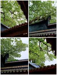 福州，走一條不一樣的一日遊路線