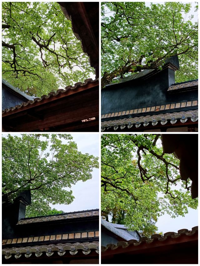 福州，走一條不一樣的一日遊路線