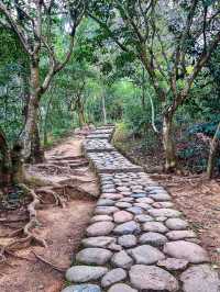 🌿探秘珠海長南逕古道遺址