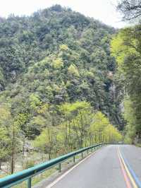 Mount Laba, a journey to see wild panda