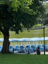 珠海海濱公園：野餐的夢幻之境