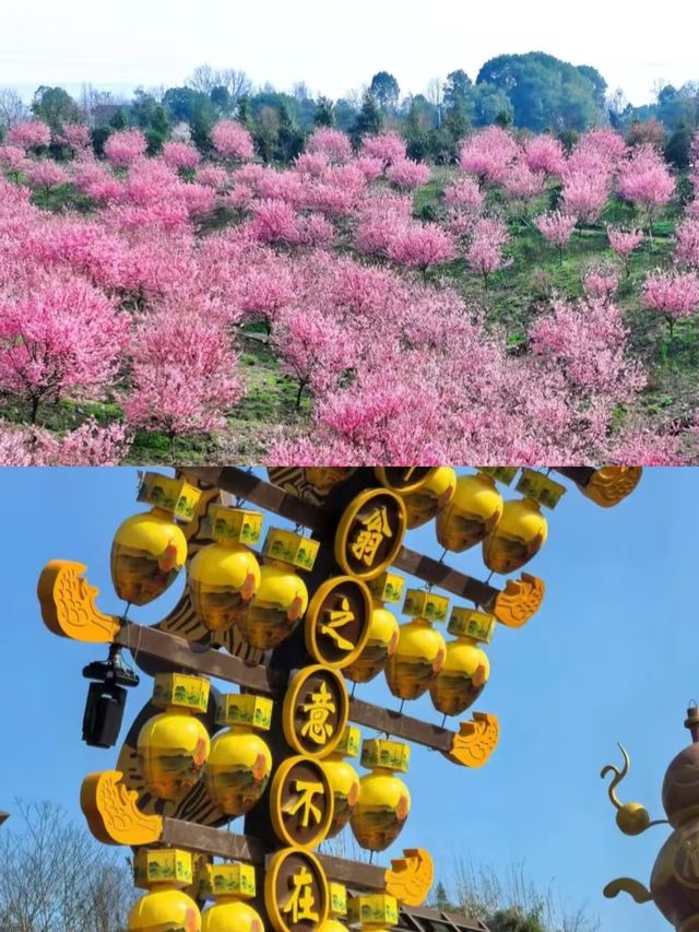 瀘州玩了3天，我的建議是…