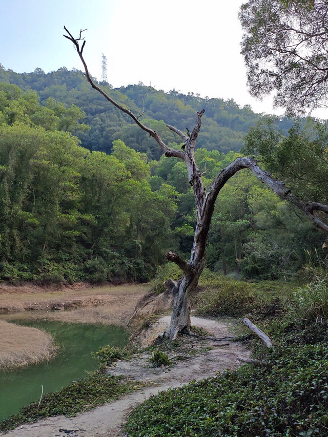 🌄中山獅頭山，徒步天堂！