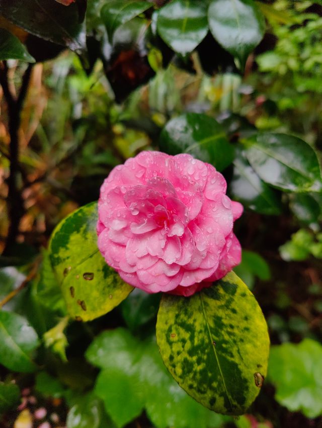 春雨中的千絲岩石文化公園