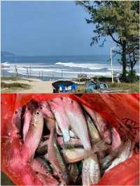 惠州首站衝這裡!鹽洲島把大海玩明白了