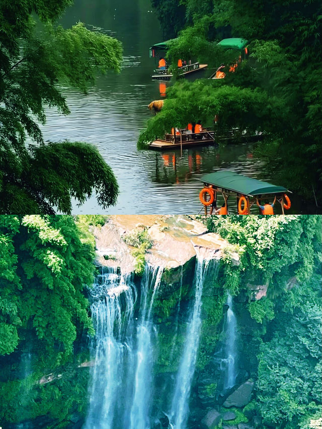 一竹一世界，一步一風景｜蜀南竹海的禪意慢旅行