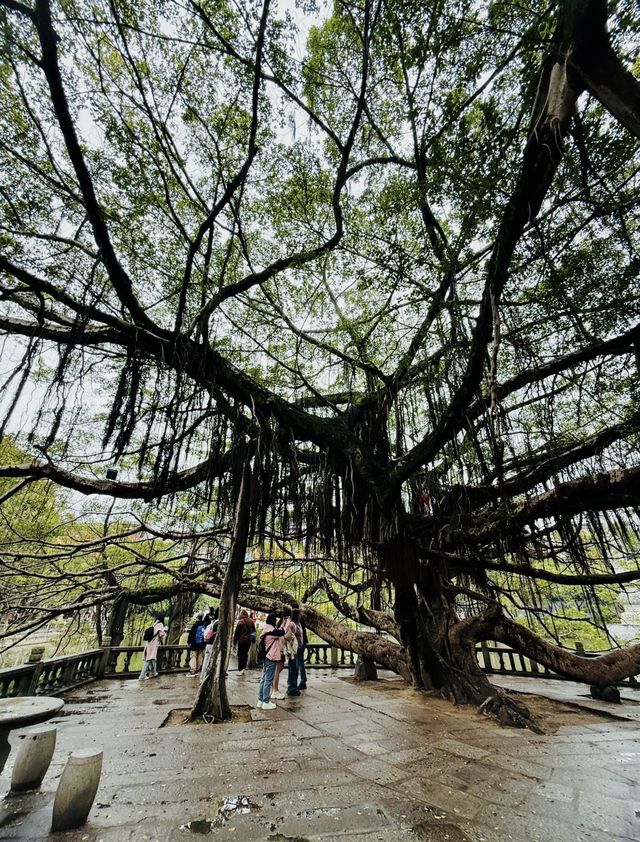 五一，走起！福州·西禪古寺