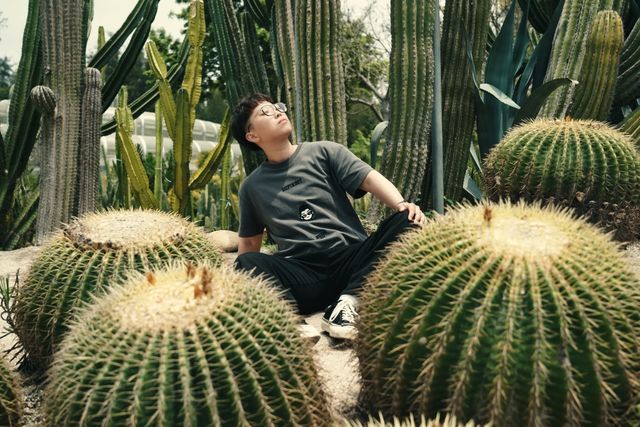廈門植物園｜多肉區可以有幾好影！