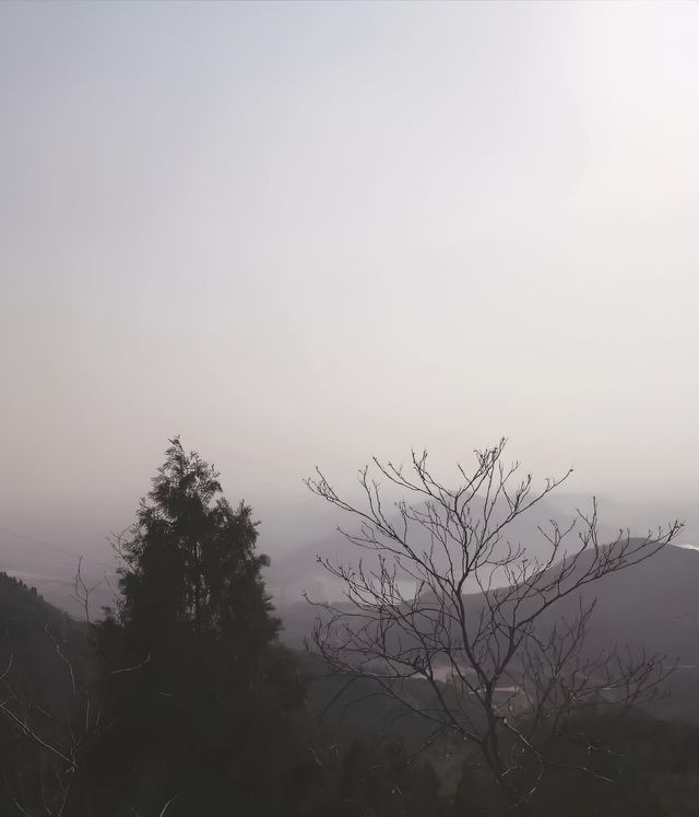 小朋友走咗都念念不忘，一路嗌住仲想嚟呀！