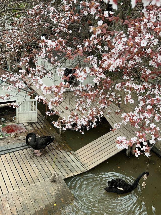 上海｜小眾景點～得丘文化創意園～