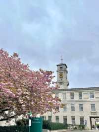 Nottingham in Cherry Blossom Season 🌸💫✨