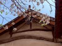 一寺貫六朝——龍門寺