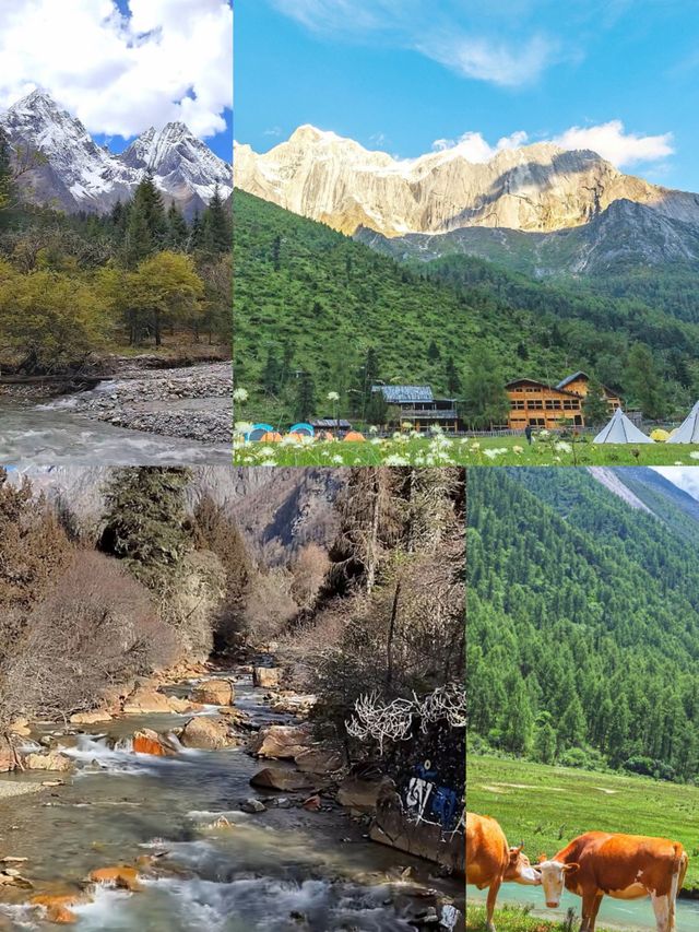 四姑娘山長坪溝有清澈嘅溪流同廣袤嘅草甸