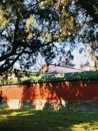 天壇紅黑榜｜睇完再去少行冤枉路