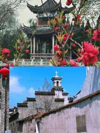 反向旅遊!!本地人帶你遊安慶人均100