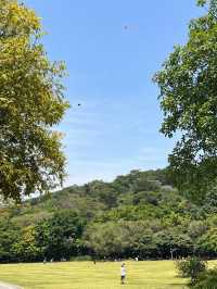 盛夏光影漫遊指南