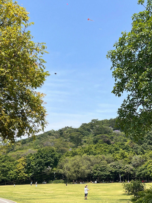 盛夏光影漫遊指南