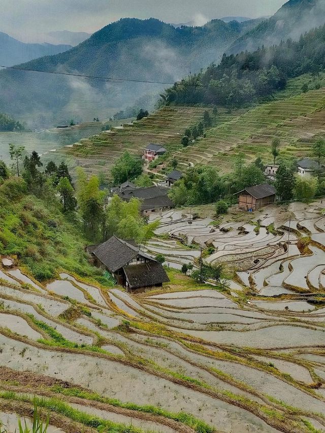 婁底旅遊必備攻略（超全）