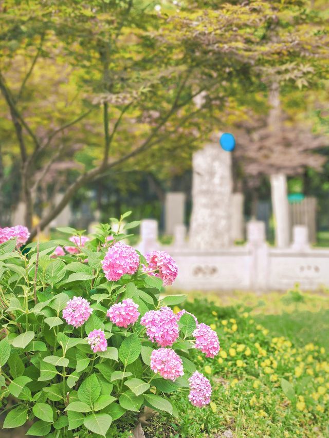合肥古逍遙津｜穿越千年的古典徽派公園