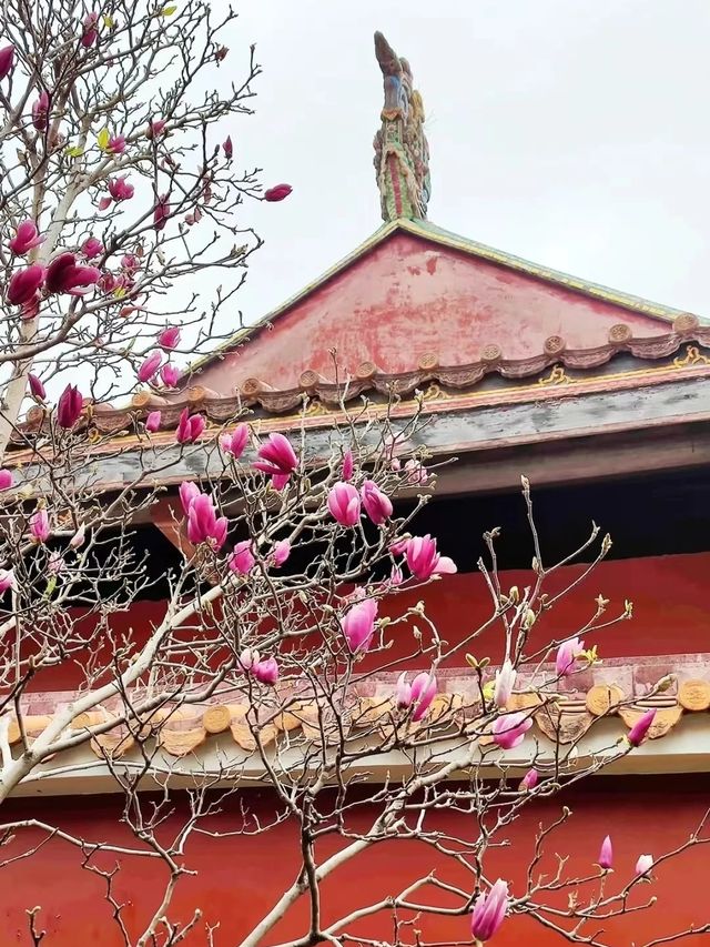 四海歸潮 暢遊名州丨潮州必玩寶藏景點攻略