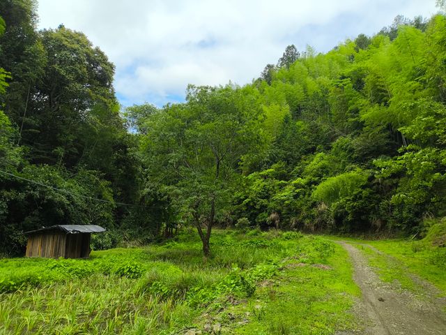 探索清流溫家山