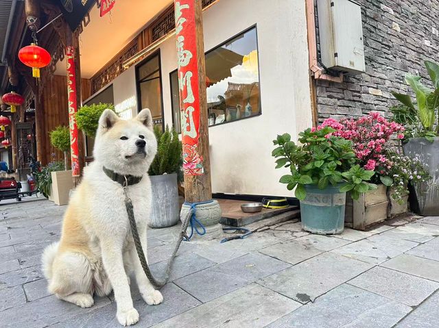 救命！！川西民宿天花板畀我搵到喇！！