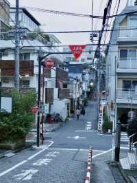 隱於都市的靜謐神社選物