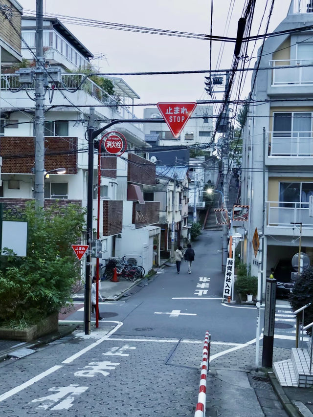 隱於都市的靜謐神社選物