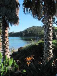 隱世天堂，Kawau Island度假驚喜   The Beach House 地址：24 V