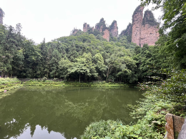 Magical 4 days in Zhangjiajie Park 
