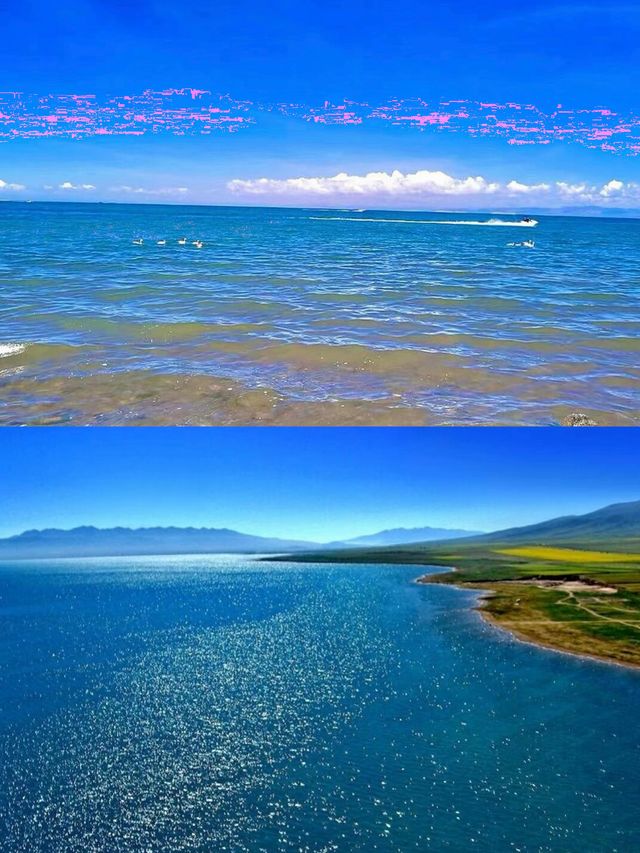 青海湖6月旅行全攻略 | 邂逅高原藍寶石與金黃花海