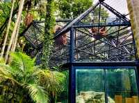 Hong Kong’s Free Zoo in the Middle of the City! 