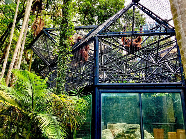 Hong Kong’s Free Zoo in the Middle of the City! 