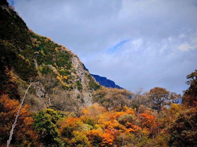 松坪溝深度遊記｜避開人潮的秘境指南