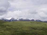 From Ganzi to Luhuo: How to turn 100 km of road into a day of unforgettable experiences