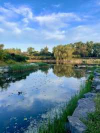圓明園落日遊：歷史與自然的交響