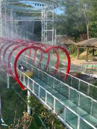 大連森林動物園高空漂流｜刺激到想喊媽！