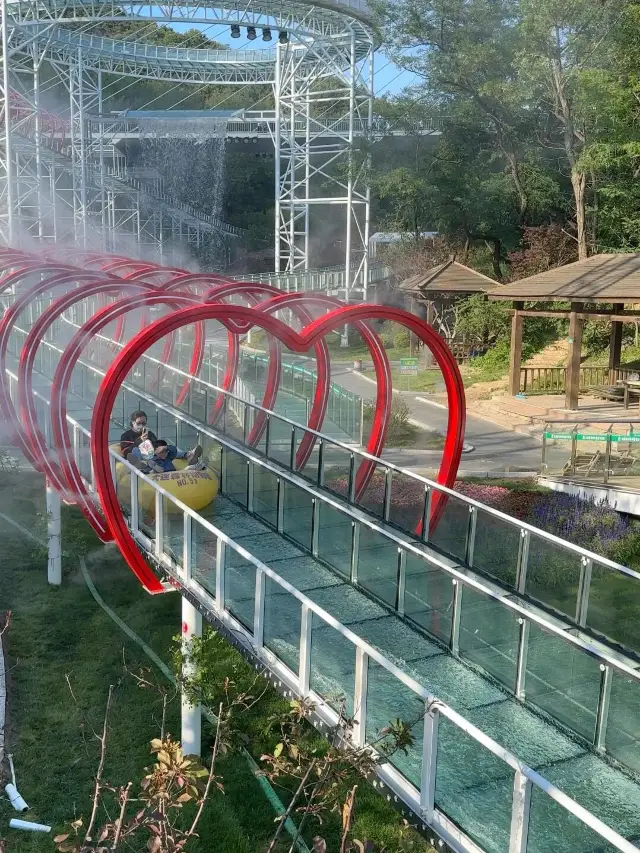 大連森林動物園高空漂流｜刺激到想喊媽！