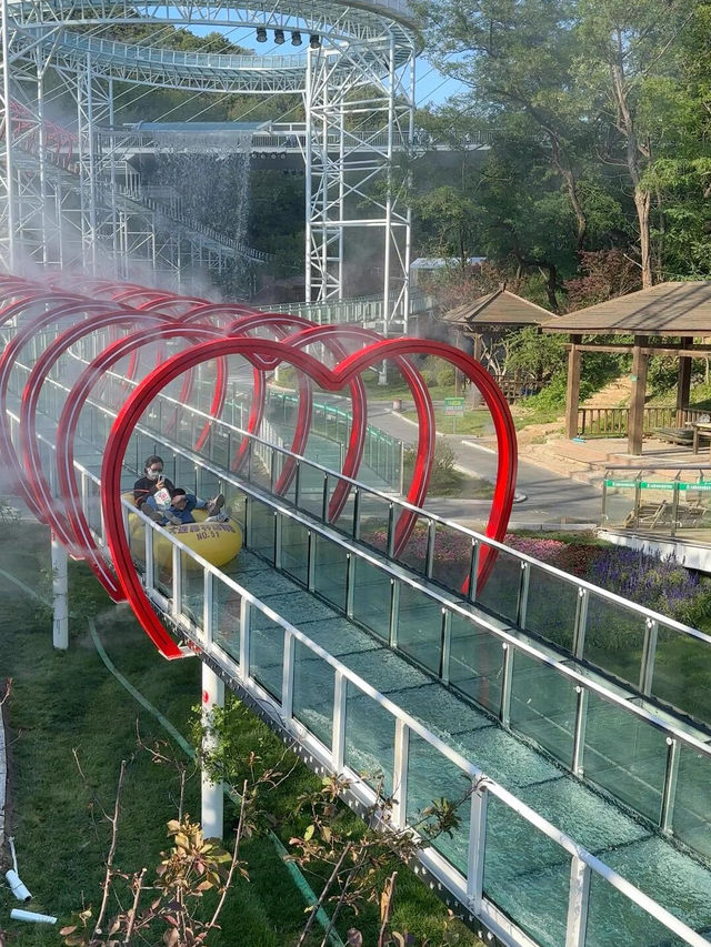 大連森林動物園高空漂流｜刺激到想喊媽！