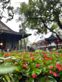 【個園旅遊攻略】—— 逛最"筍"的園子最"皮"的揚州！