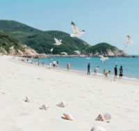東極島攻略：追光中國最東嘅海島秘境！